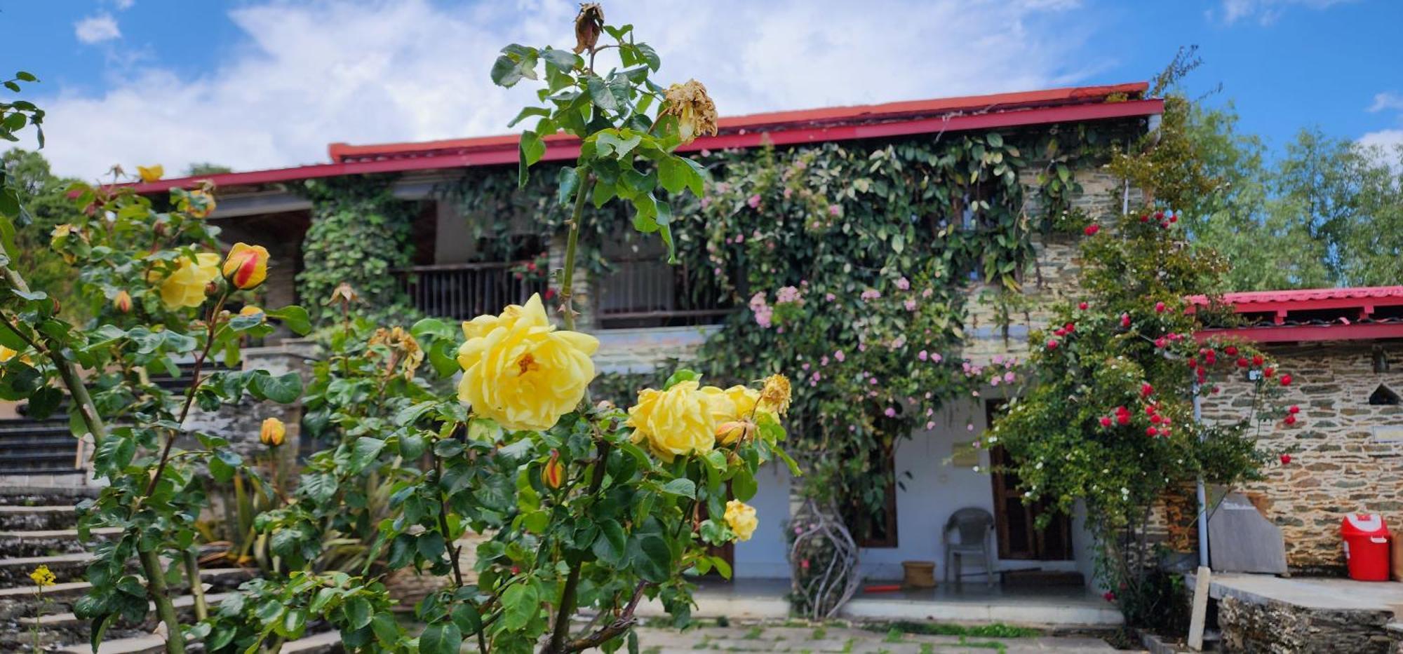 Dunagiri Retreat Dwarahat Bagian luar foto